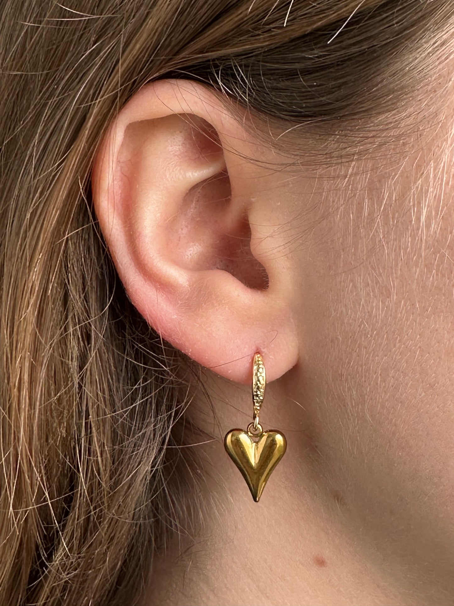 Small Stainless Steel Earrings